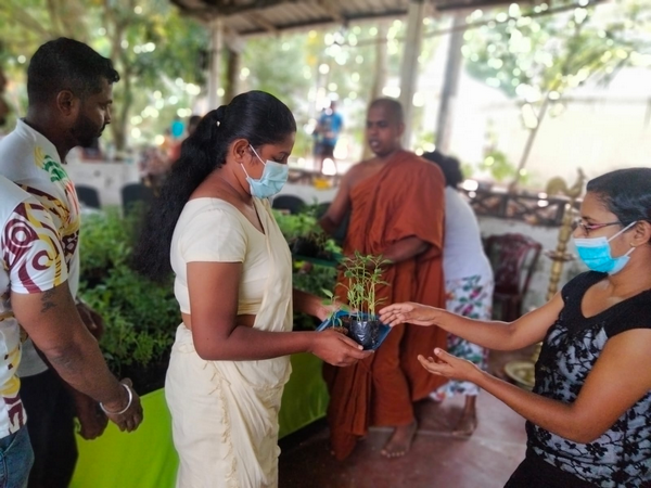 Distributing plants for gardens in conjunction with the 2022 Samurdhi National Cultivation Operation / Homagama (Kiriwatthuduwa North Division) (2022-09-10)